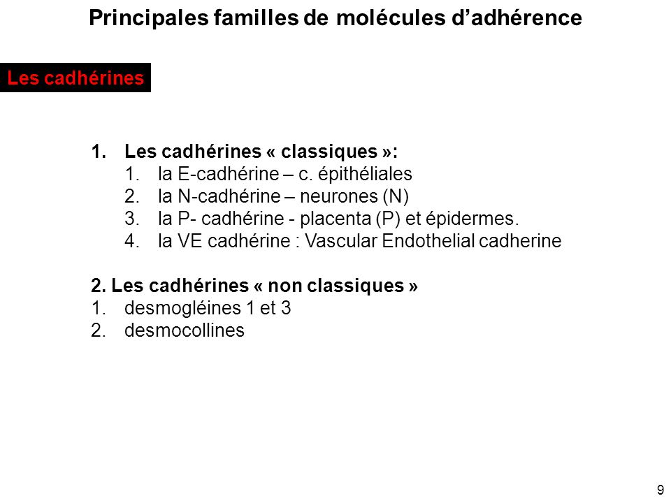 Jonctions Cellulaires Ppt Video Online T L Charger